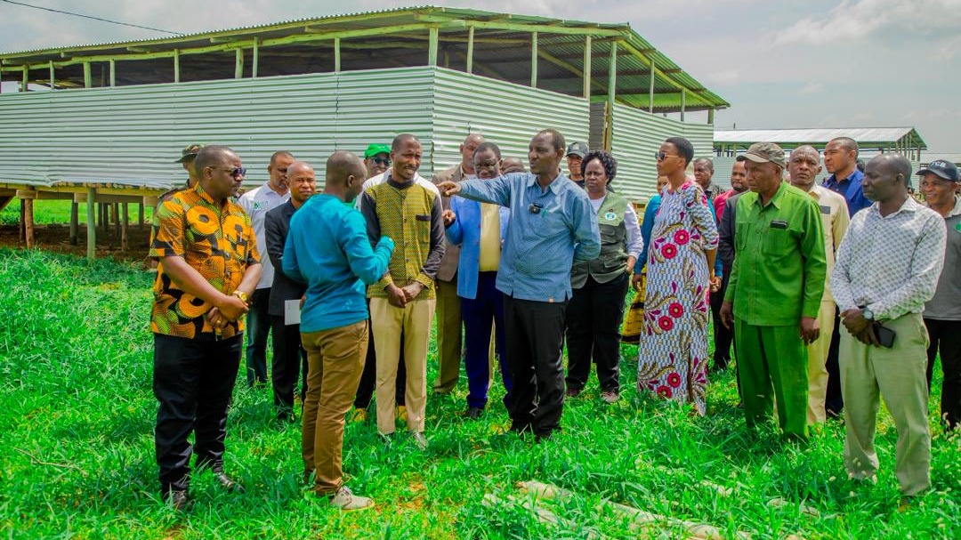 DKT. BASHIRU AITAKA BBT IWEKEZE KATIKA KUZALISHA MALISHO YA MIFUGO