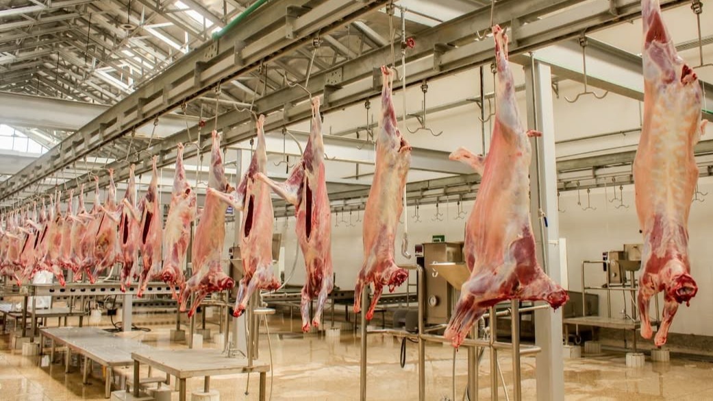 QATAR YAFUNGUA SOKO LA NYAMA YA TANZANIA